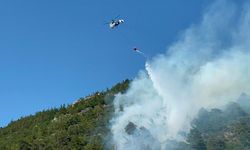 Bursa'da orman yangınına havadan müdahale