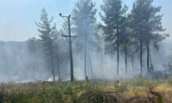 Bursa'da 3 helikopter ve 9 arazözle yangın mesaisi