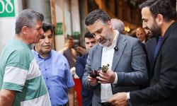 Bursa'da Başkan Vekili Biba'dan güvenli gıda için önemli ziyaret