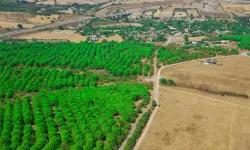 TOKİ, Osmangazi'de arsa satacak! İşte fiyatları