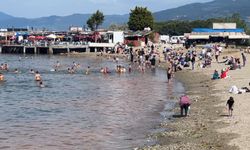 Mudanya'da müsilajdan sonra turuncu alarm