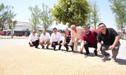 Yenişehir'de buğday alımları başladı