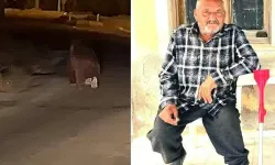 Balkonda ayı saldırdı canından oldu