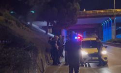 Kardeş kavgası babayı yola, polisi sokağa döktü