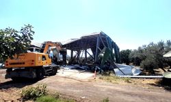 Bursa'da zeytinliğe yapılan kaçak depo böyle yıkıldı