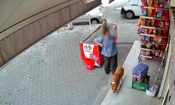Pitbull saldırısında, 5 çocuk annesi kadının parmağı koptu