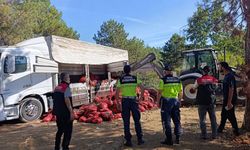 Bursa'da 8 ton ele geçirildi