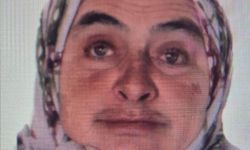 Bursa'da ormanda tüm ekipler onu arıyor...