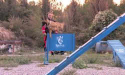 K9'lara hayat kurtaran eğitim