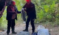 Uludağ'da mağaraya sığınan yaşlı adam için seferber oldular