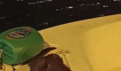 SU SAMURLARININ BALIK KEYFİ