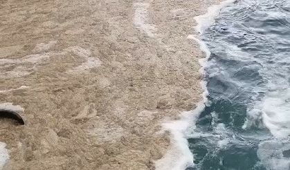 Gemlik Körfezi'nde müsilaj kabusu