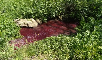 Bursa'da bu dere ‘kan' ağlıyor