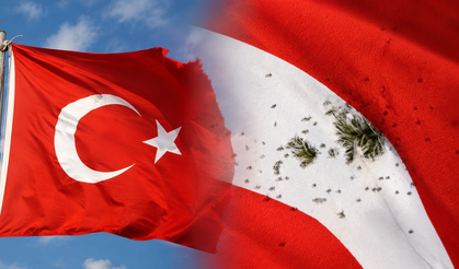 Türk bayrağına tüfekle ateş edildi: Valilikten açıklama