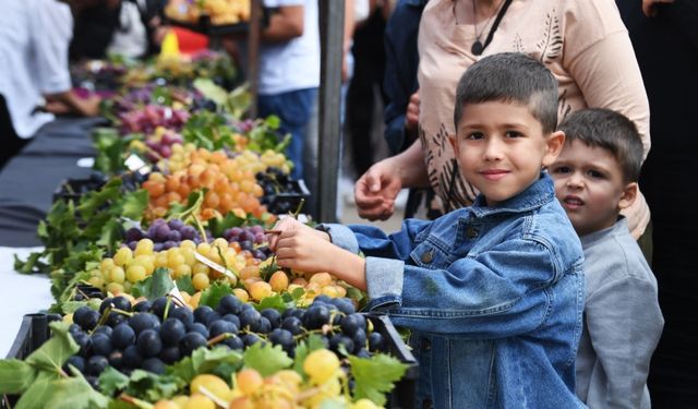 OSMANGAZİ'NİN EN GÜZEL ÜZÜMLERİ SEÇİLDİ