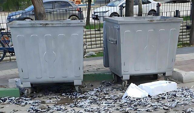BALIKLARI YOLA DÖKTÜ! VATANDAŞ KOKUYA DAYANAMADI...