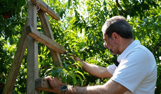 Gürsu'da ilçe tarımını dönüştürecek yeni proje
