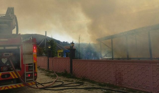 Bursa'da at çiftliğinde yangın paniği