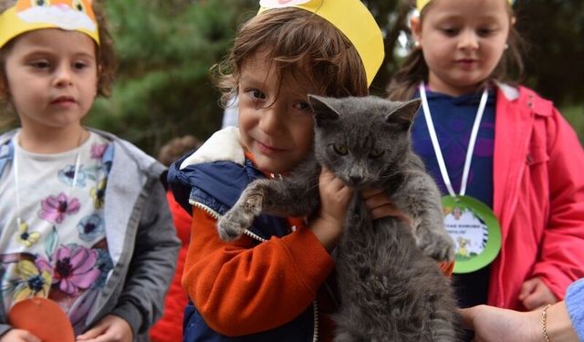 Yıldırım'da 625 patili dost sıcak yuvaya kavuştu