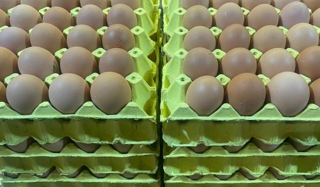 Markette 300 lira olan yumurta orda 200 lira