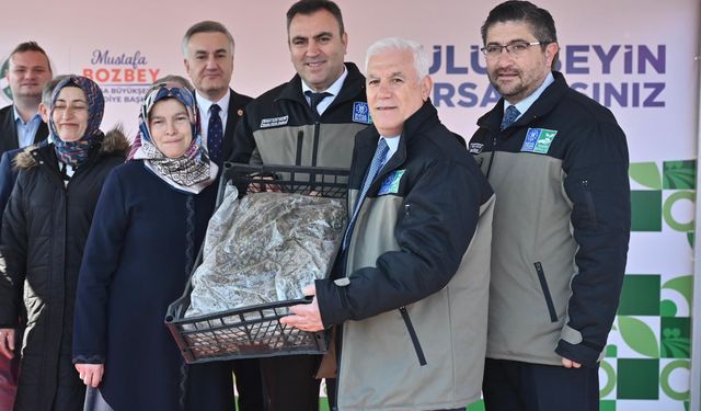 Çiftçiye 1 milyon 222 bin çilek fidesi hibe edildi