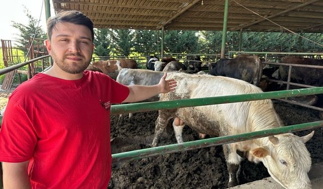 Bursa'da kurban fiyatları belli oldu