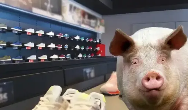 Adidas'tan sonra bir markada daha domuz derisi tespit edildi