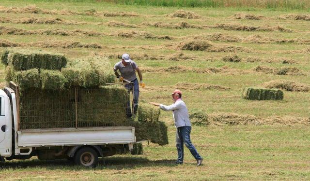 Bursa’da çiftçilere kötü haber