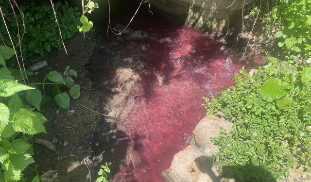 Bursa'da bu dereye çiftçile tepkili