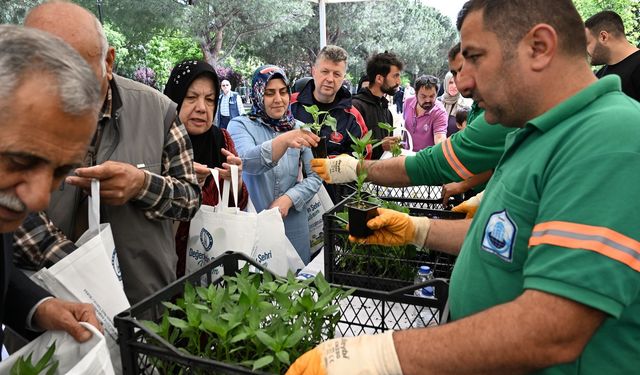 Yıldırım'da 50 bin ücretsiz fide dağıtıldı