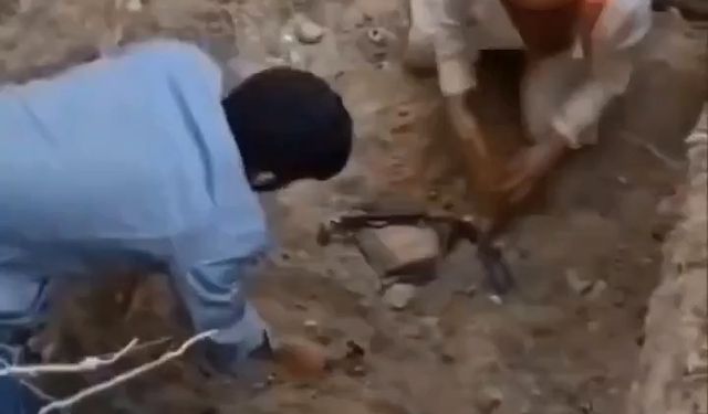 Bursa'da ölen köpekleri mezardan çıkarmaya çalıştılar