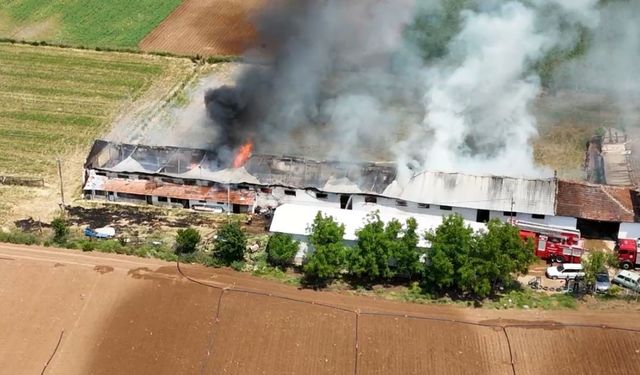 Hayvan çiftliğindeki büyük yangın havadan görüntülendi