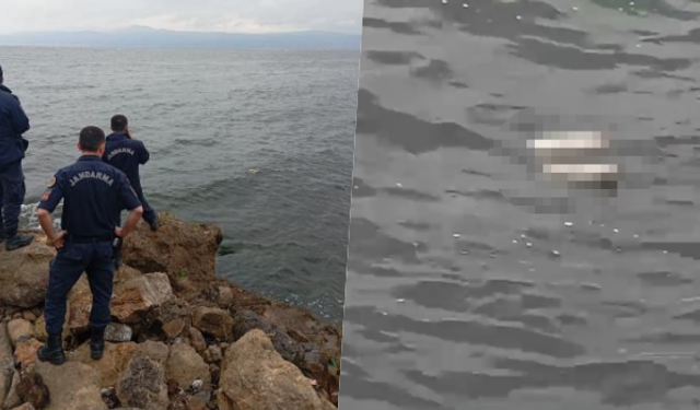 Bursa'da kıyıya ceset vurdu