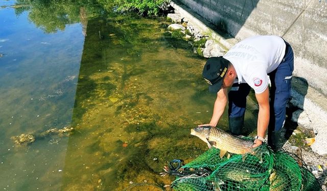 Bursa'da kaçak avlanan balıkçılara ceza yağdı