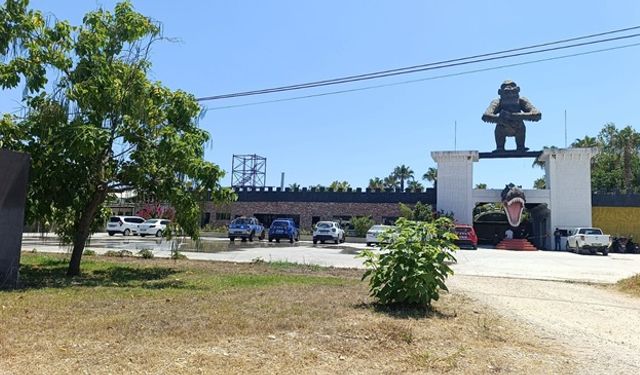 Aslanın kaçtığı hayvanat bahçesi mühürlendi
