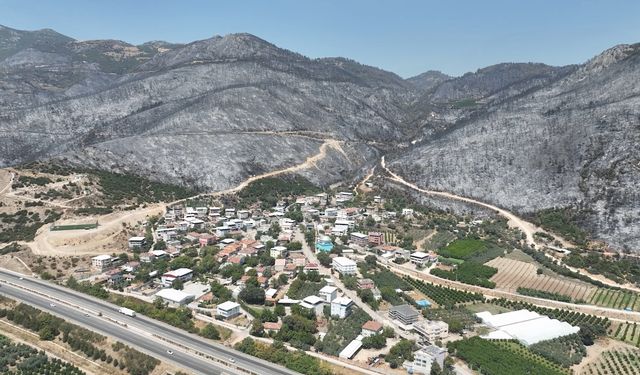 Yeşil Bursa'nın yemyeşil ormanları böyle karardı
