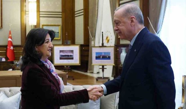 Erdoğan'dan kritik karar: DEM Parti ile görüşecek