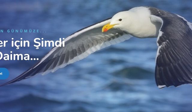 Çeviri Bürosu ve Fransızca Çeviri - Okeanostercume.com.tr