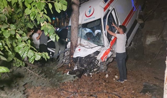 Ambulans bahçeye uçtu