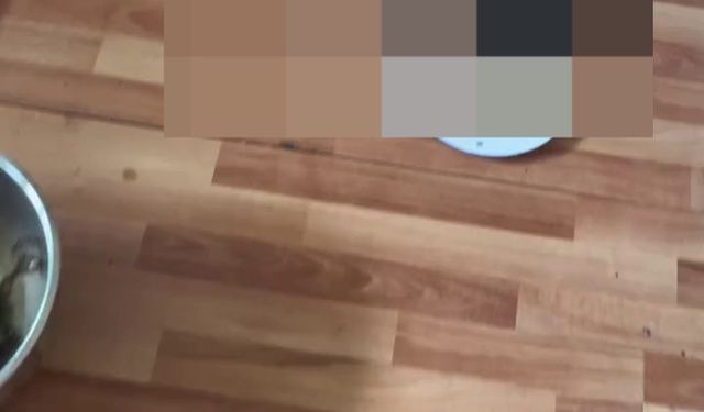 Hayvanları katleden şamanizm üyesi paylaşım yaptı, gözaltına alındı