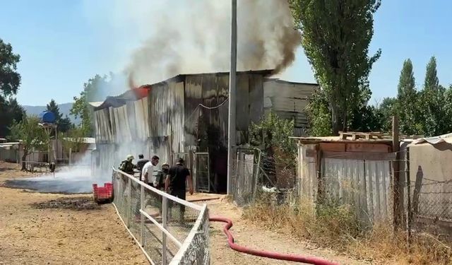 Bursa'da hayvan damında yangın