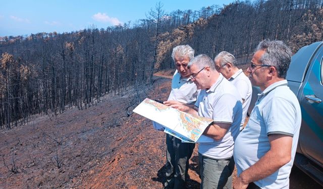 Bursa'da yanan ağaçları tek tek saydılar...Hem havadan hem karadan
