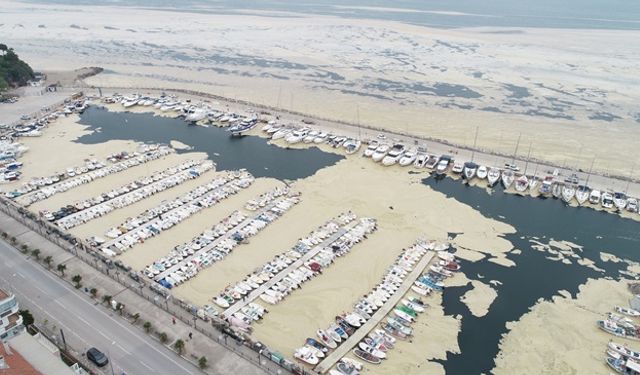 Bursalı balıkçıları müsilaj vurdu: Destek bekleniyor