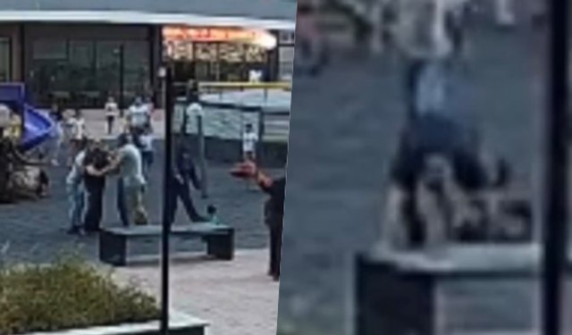 Bursa'da parkta oynayan çocukları yerden yere vurdu