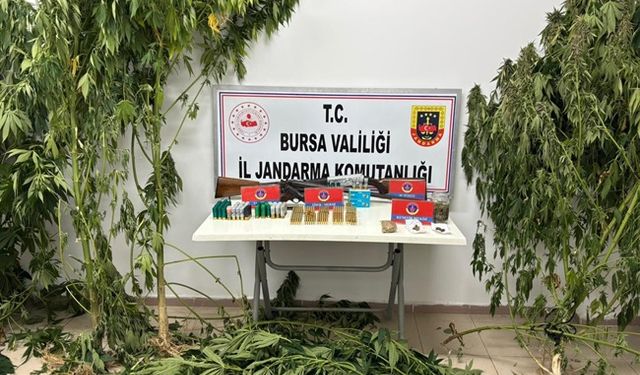 Evin bahçesi uyuşturucu yuvası çıktı