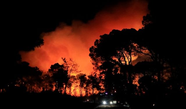 Antalya'da otellere yakın bölgede korkunç yangın