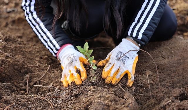 Uludağ Elektrik’ten Doğa Dostu Çözüm