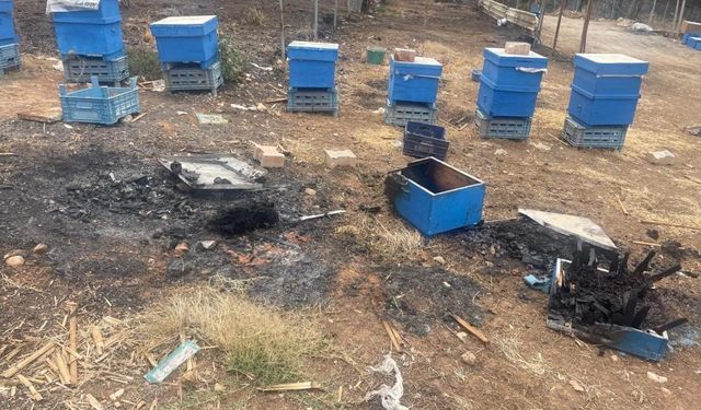 Yangın mağduru arıcılara kovan desteği