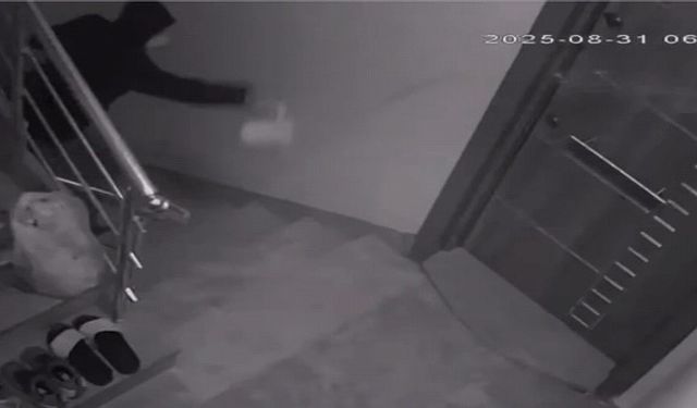 Komşularını canından bezdirdi