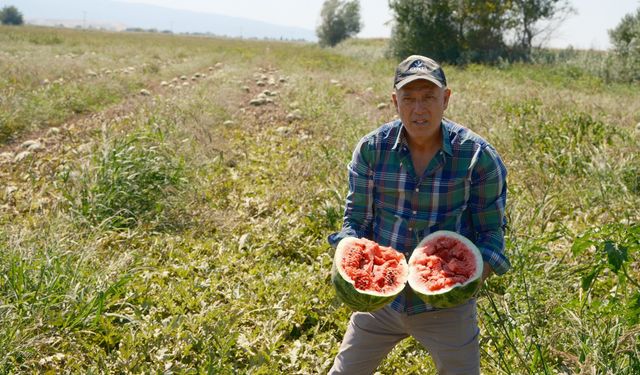 Londra'da kazandıklarıyla Bursa'ya  toprak yatırımı yaptı